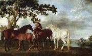 George Stubbs Stuten und Fohlen in einer Flublandschaft oil